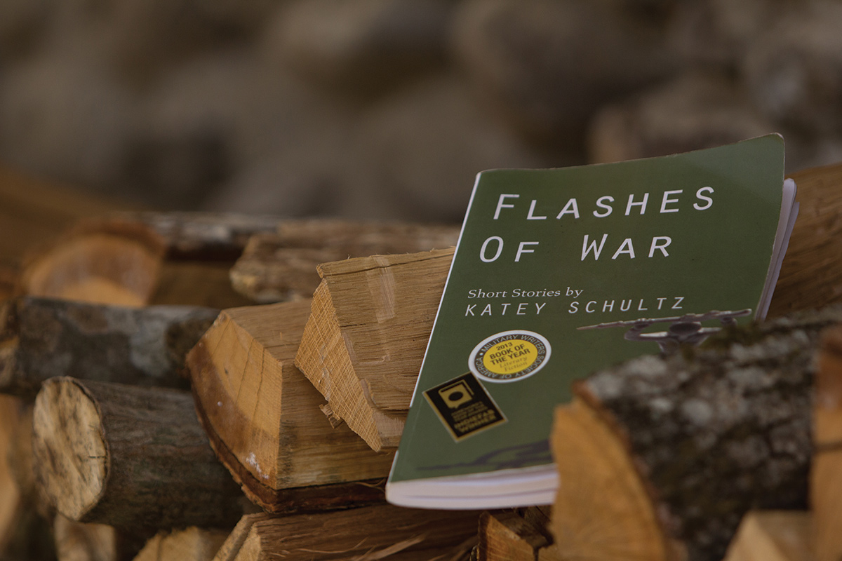 Flashes of War Book Cover