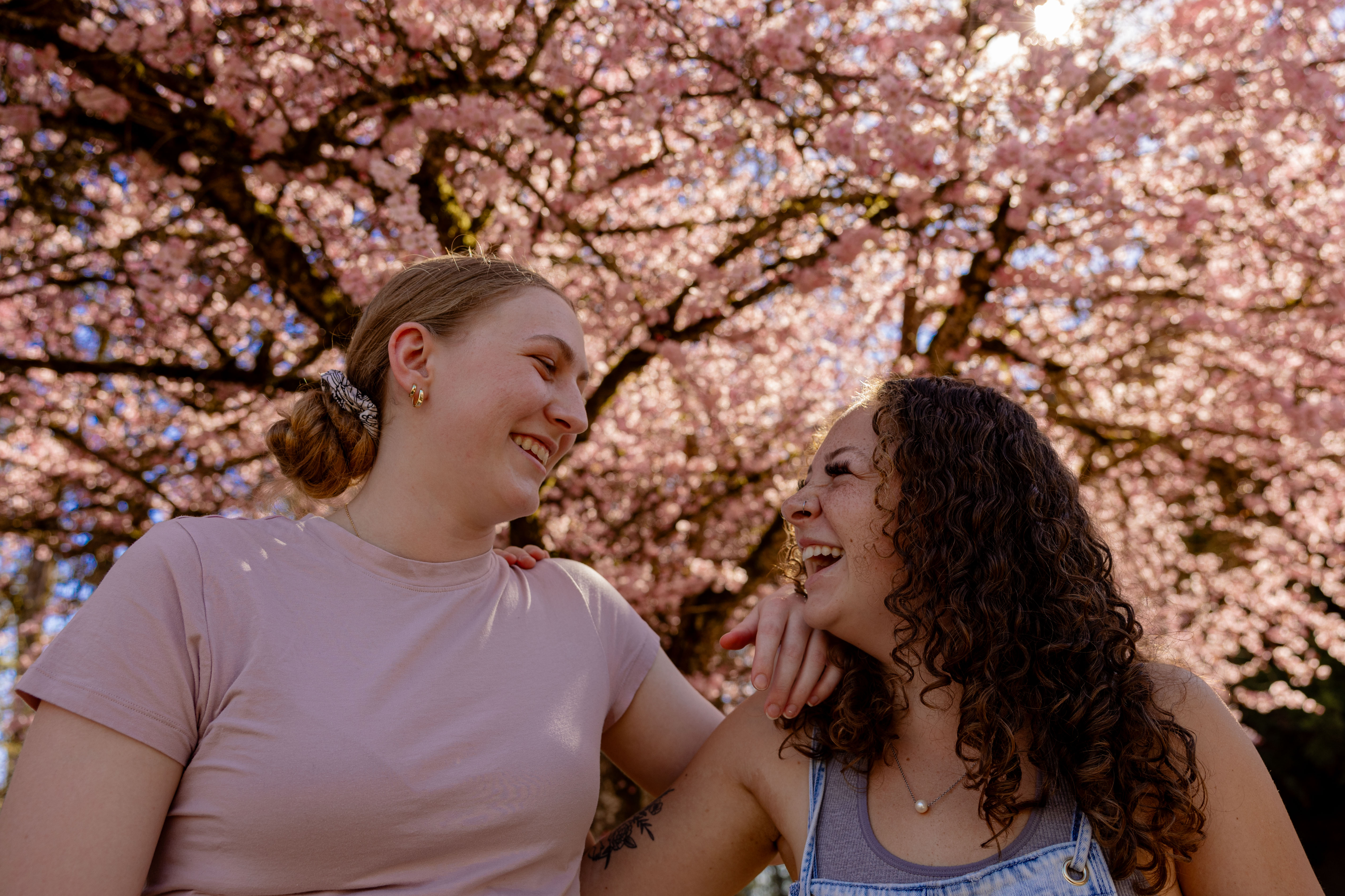 Two students sit in front of a flowering cherry blossom tree on Pacific's Forest Grove Campus.