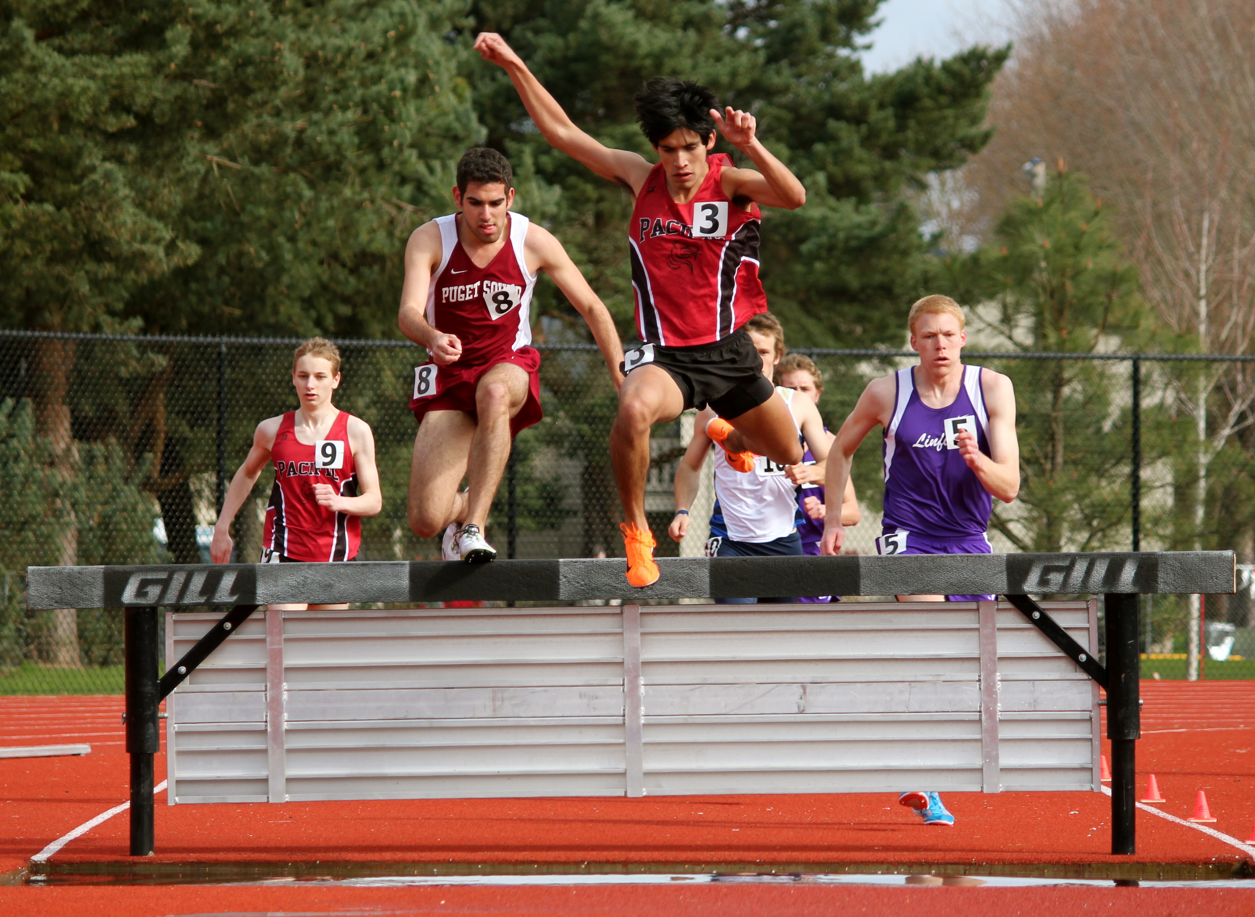A Pacific track and field athlete leads a pack of steeplechase racers at a competition.