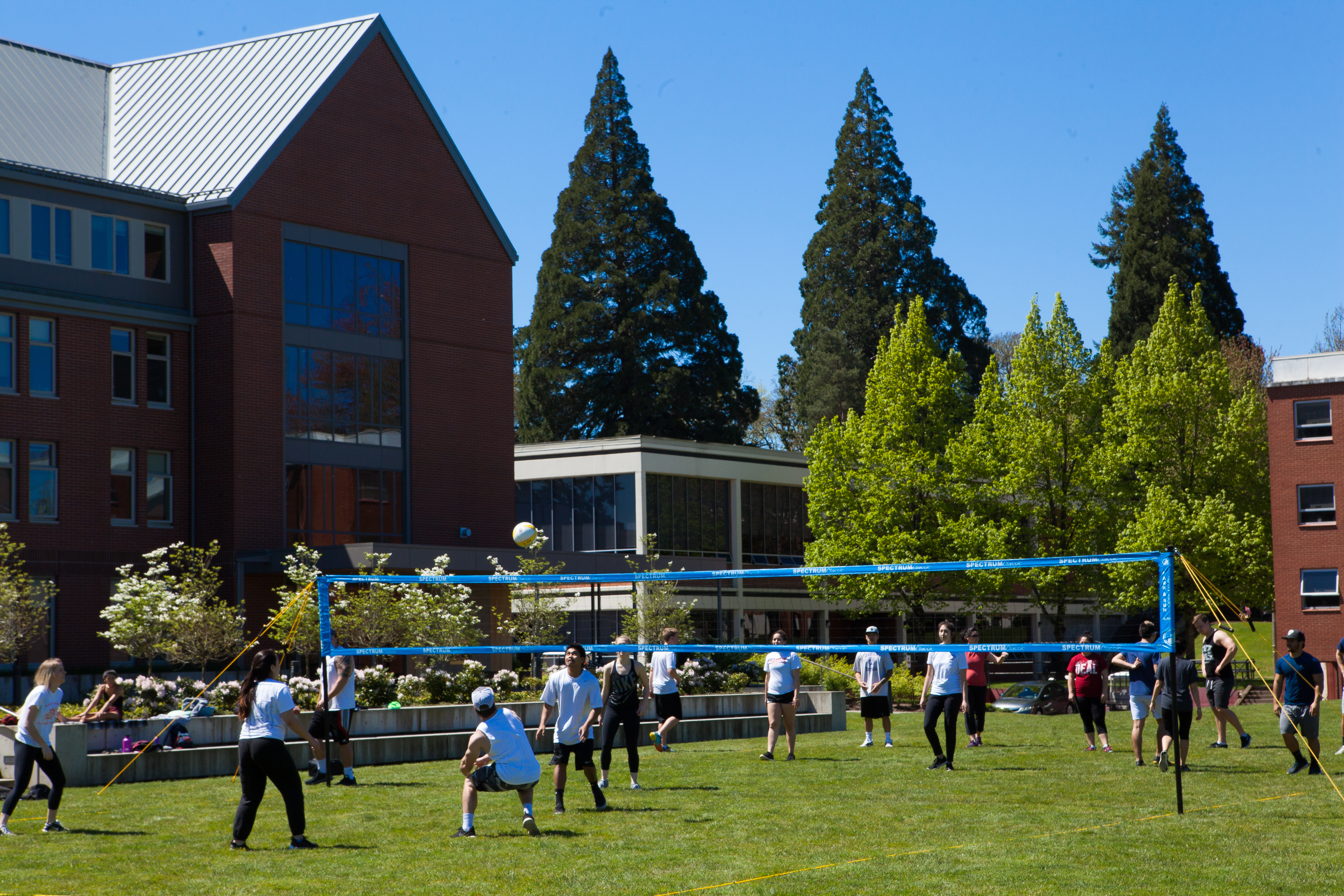 Students playing volleyball on Pacific's Forest Grove campus