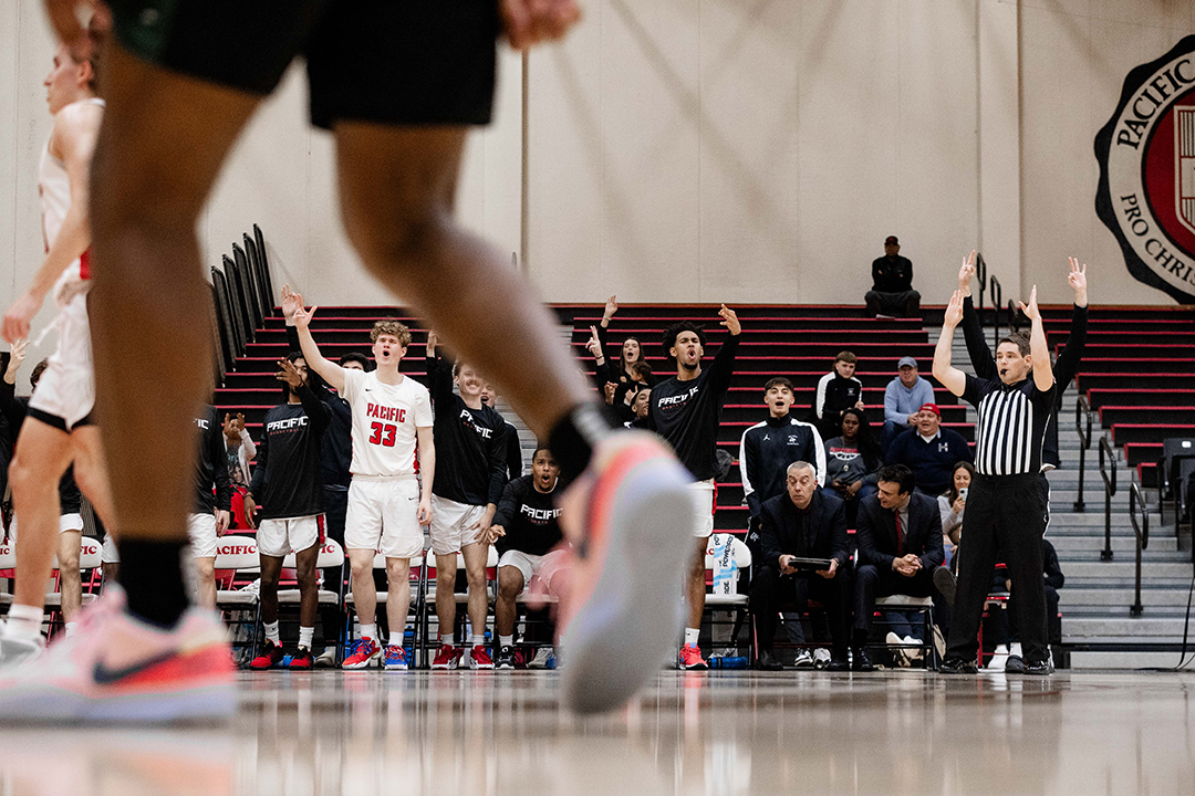 Boxers cheer on the sidelines during a basketball game