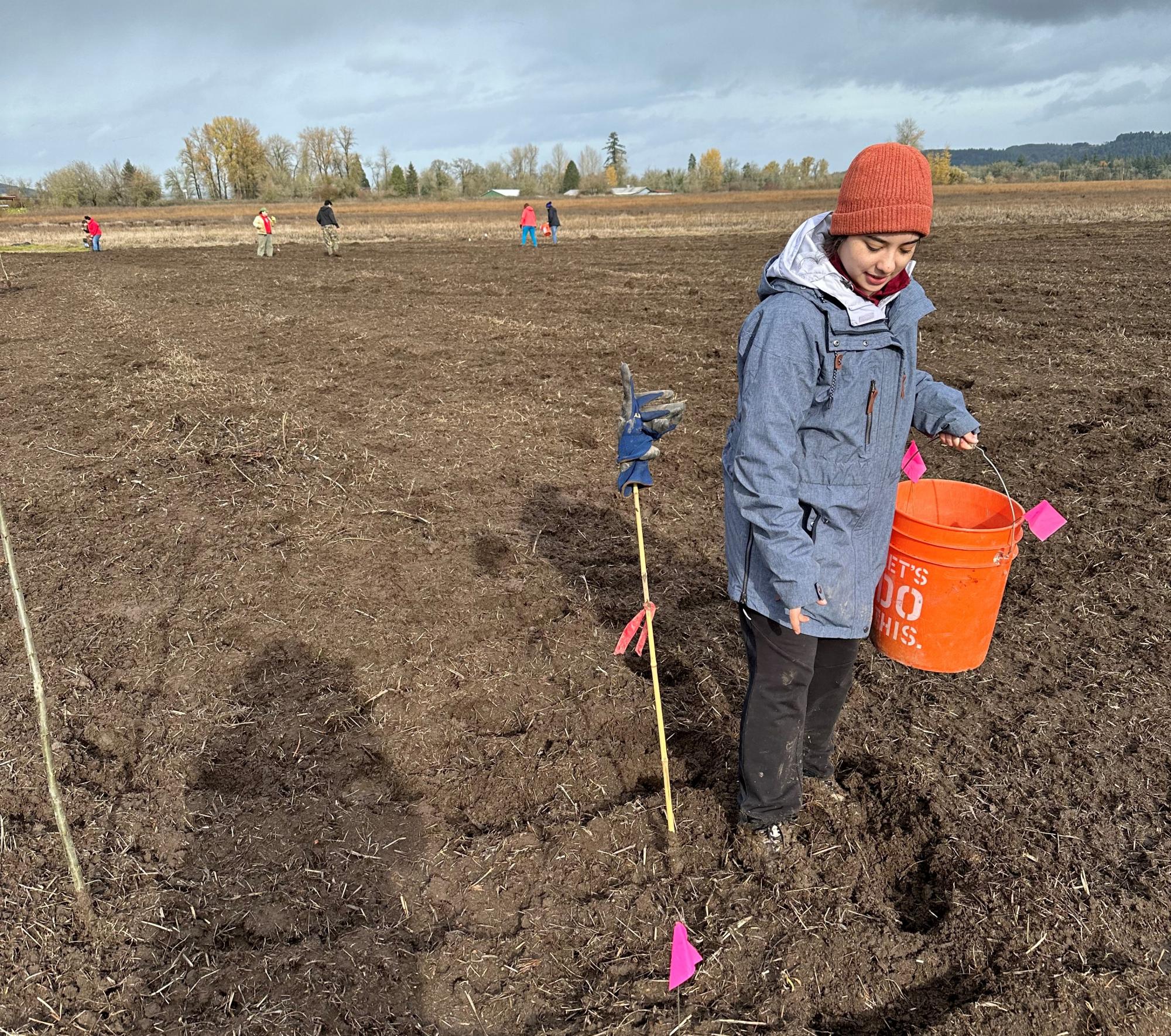 Student planting Wapato bulb in a muddy footprint.