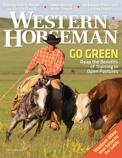 western horseman