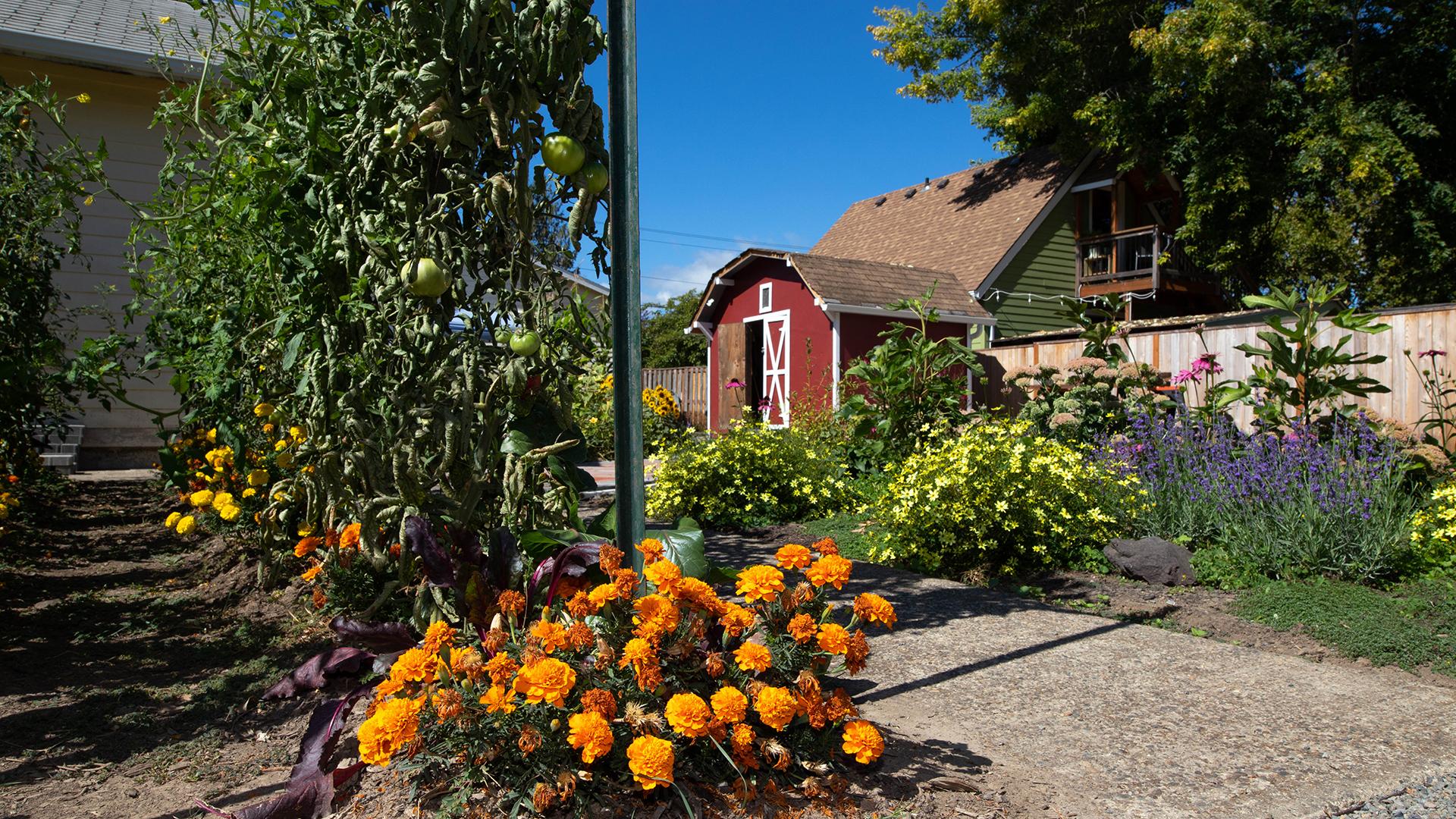 view of Boxer Gardens