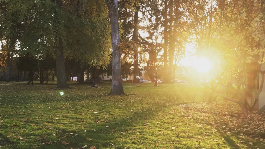 Sun rising behind trees on Forest Grove Campus