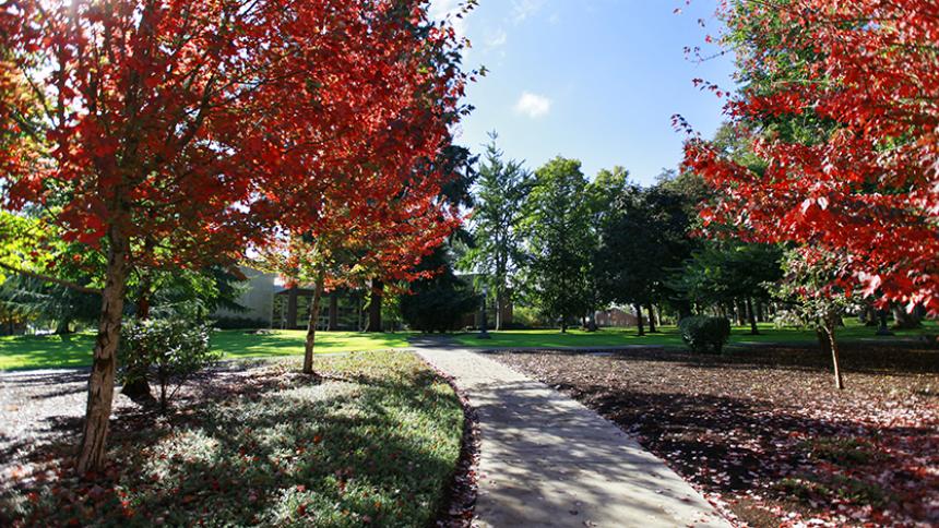 Fall on Forest Grove Campus