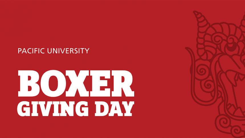 Boxer Giving Day in white text on a red background