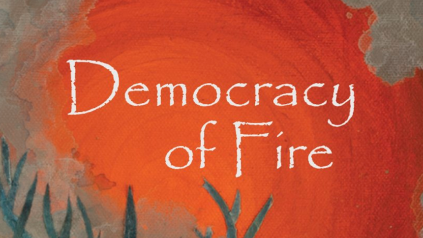 Detail of Susan Cohen's Democracy of Fire