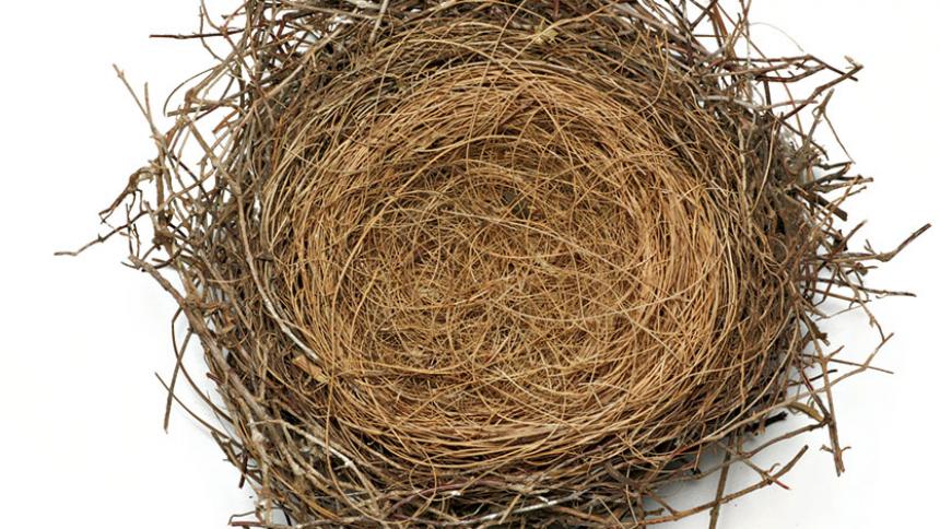 A small bird nest pictured from above