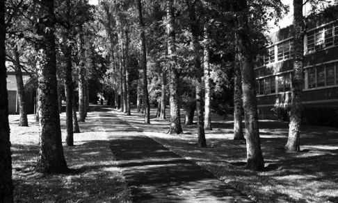 AZ Walk on Pacific University Campus