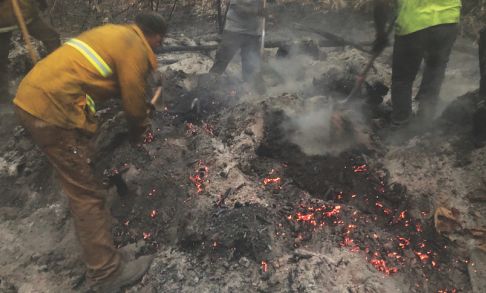 Firefighters looking through embers and ashes