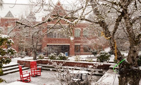 Tran Library & Trombley Square In Snow