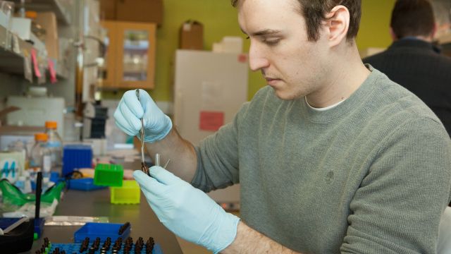 Student performing an experiment