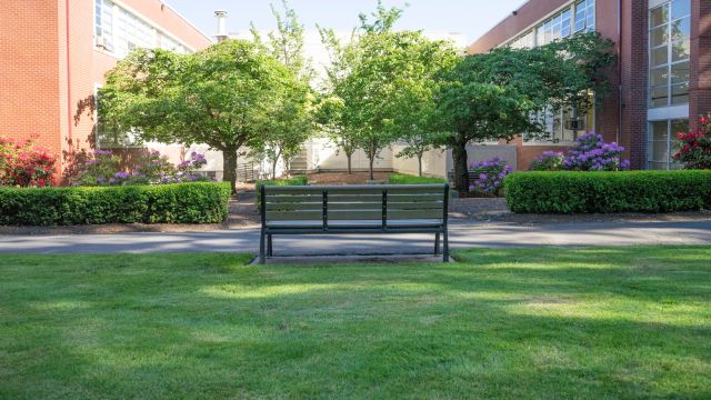 a restful bench on campus