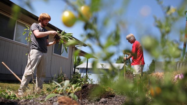 A student works in a garden, an example of environmental nonprofit leadership