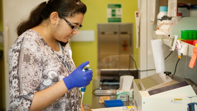 An undergraduate student works in the School of Pharmacy lab