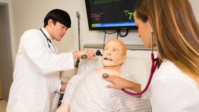 Student demonstrating a check-up on a model patient