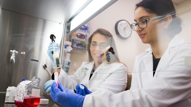 Pacific University pharmacy students in white coats in the lab