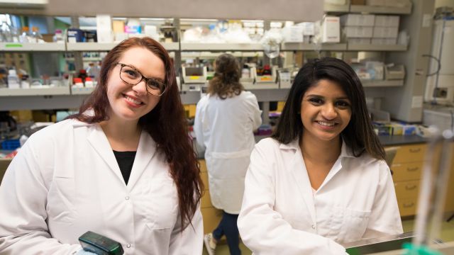 Pharmacy students in the Pacific lab