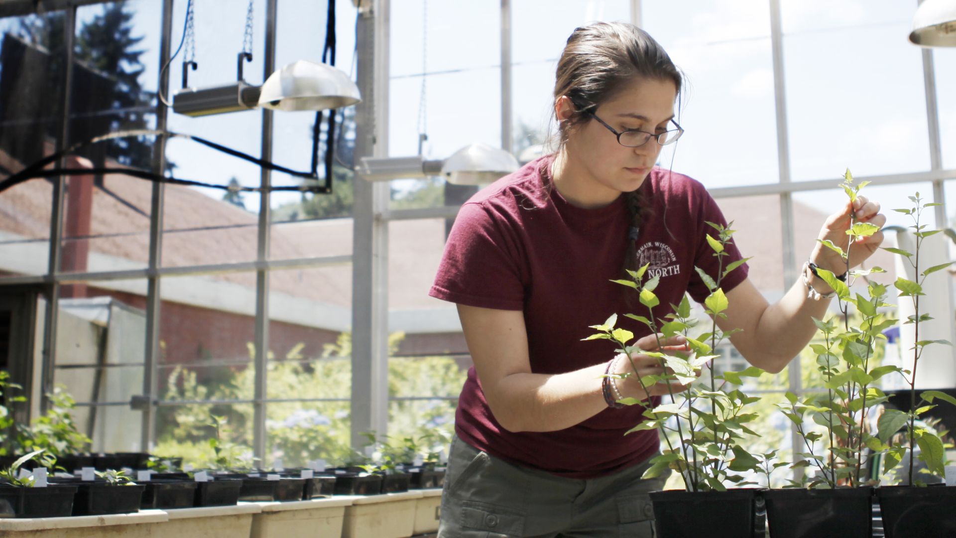 student attending to plants in greenhouse